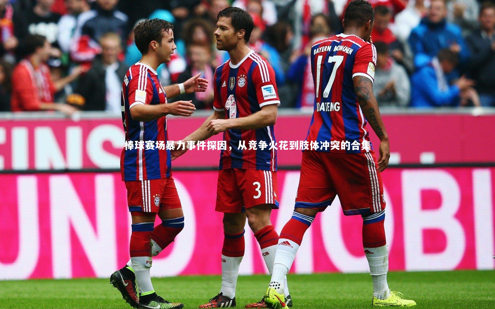 棒球赛场暴力事件探因，从竞争火花到肢体冲突的合集