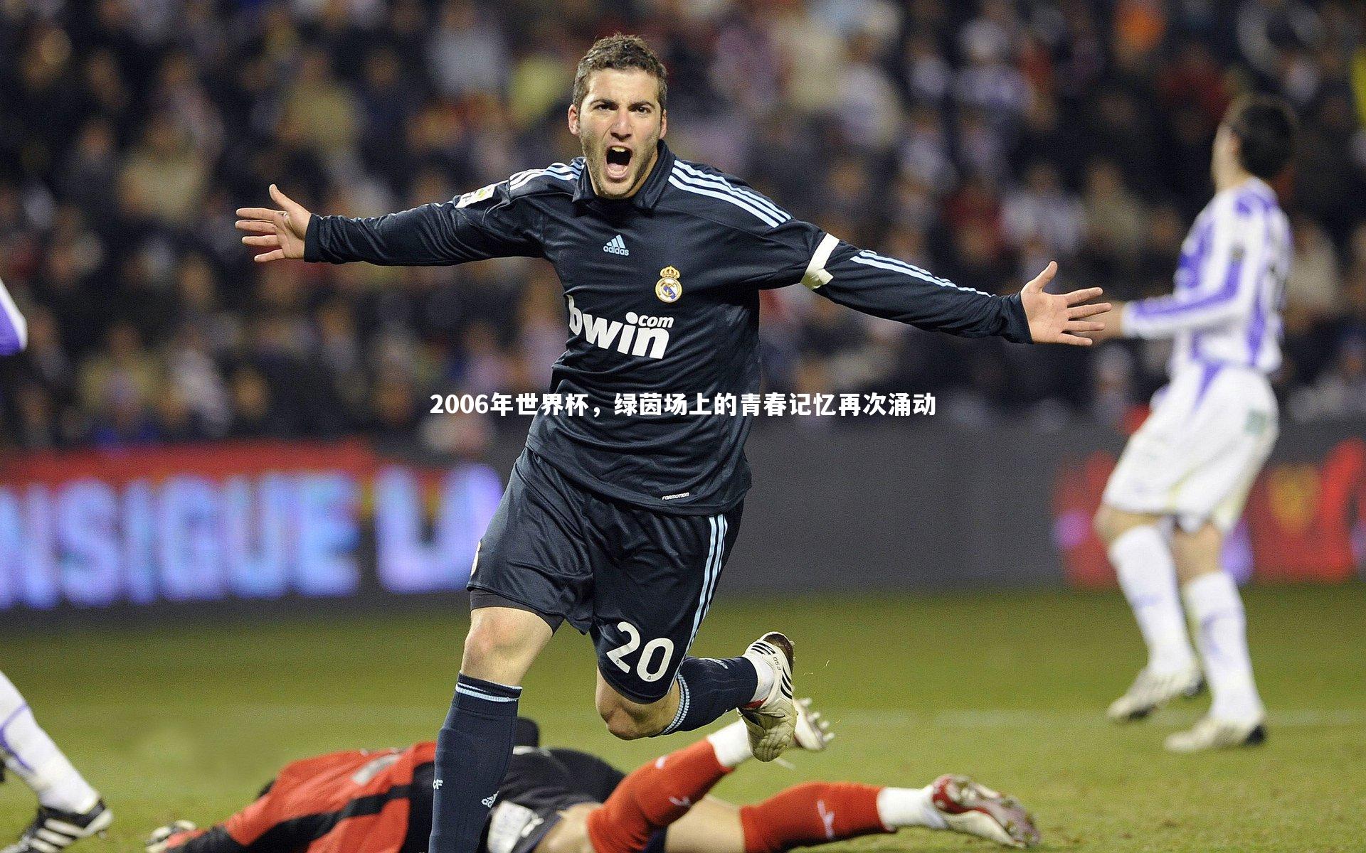 2006年世界杯，绿茵场上的青春记忆再次涌动